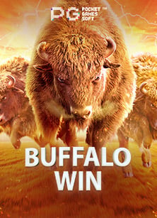 สัมผัสความสนุกกับ sco88 เครดิต ฟรี 150 และเกมสล็อต